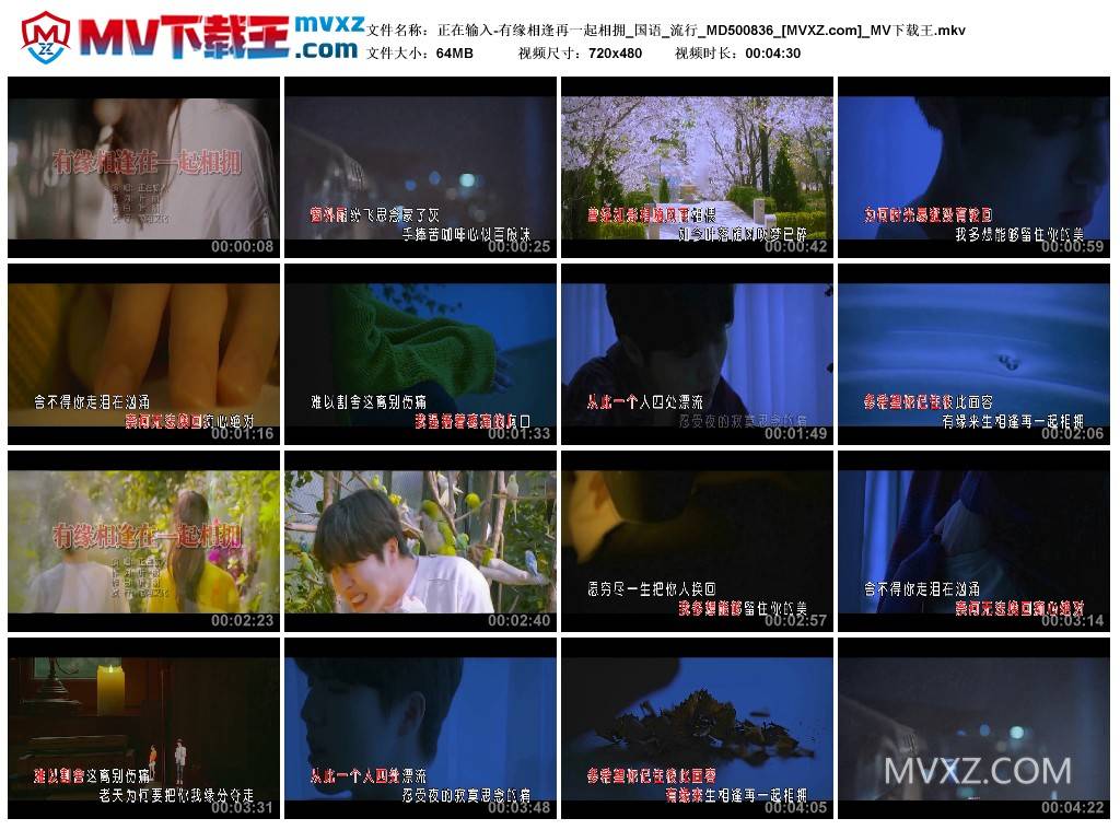 正在输入-有缘相逢再一起相拥_国语_流行_MD500836